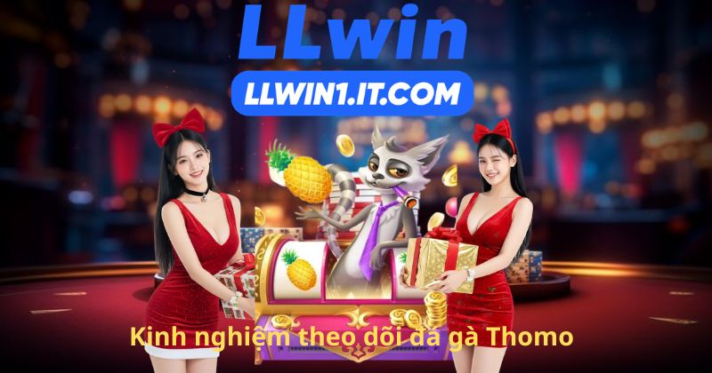 Kinh nghiệm theo dõi đá gà Thomo
